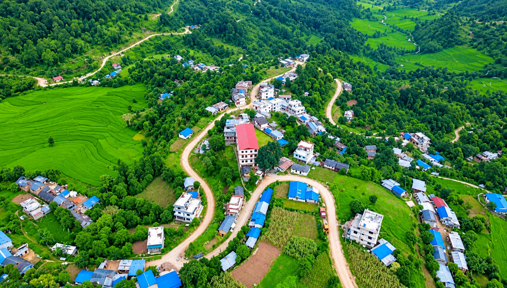School Area